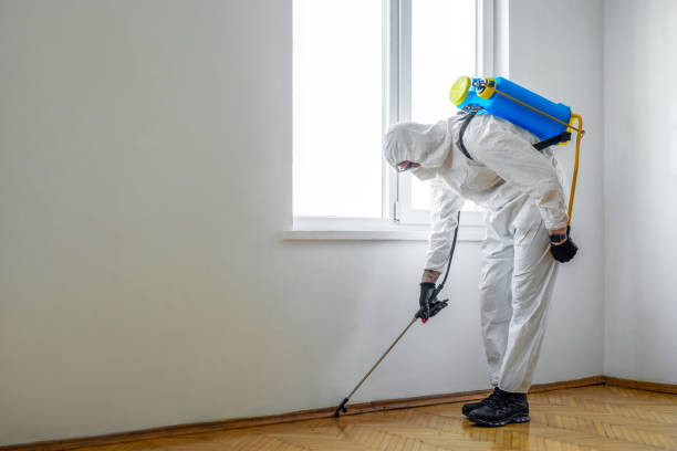 Best Indoor Pest Control  in USA